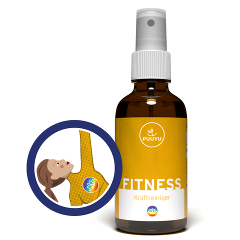 KRAFTREINIGER | FITNESS - Dein Hygiene-Profi