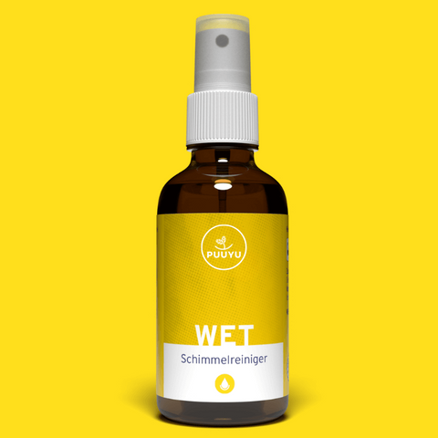 SCHIMMELREINIGER | WET- Deine Schimmel-Elfe