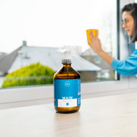 Allzweckreiniger MAIN-Anwendung-Fenster