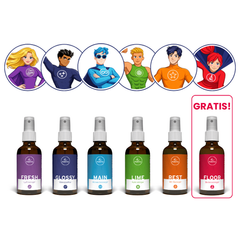 6 Reiniger und 6 dazugehörige Avatare in der Reihenolge: FRESH, GLOSSY, MAIN, LIME, REST, FLOOR